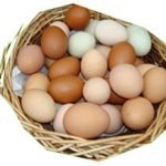 Colourful egg basket