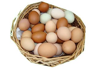 Colourful egg basket