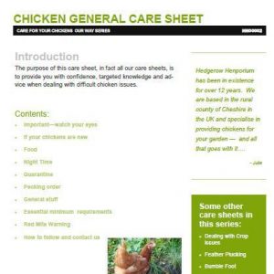 how to care for chickens