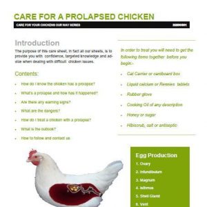 Prolapse care for chickens