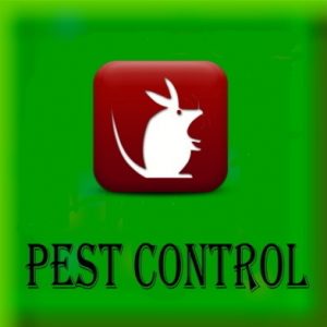 Pest Control