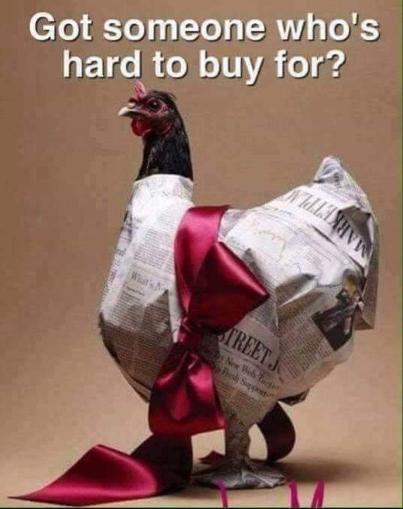 Wrapped up chicken