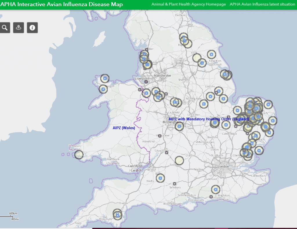 Example of bird flu infections Avian Influenza current infections Nov 2022