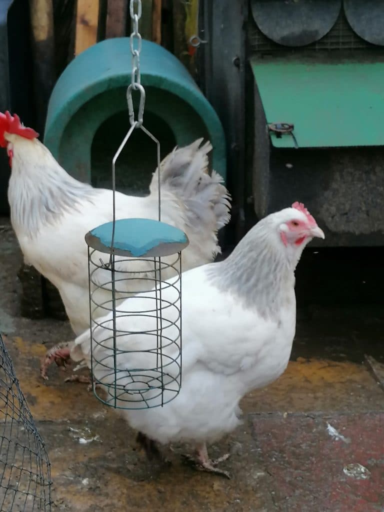 Coronation Sussex Trio