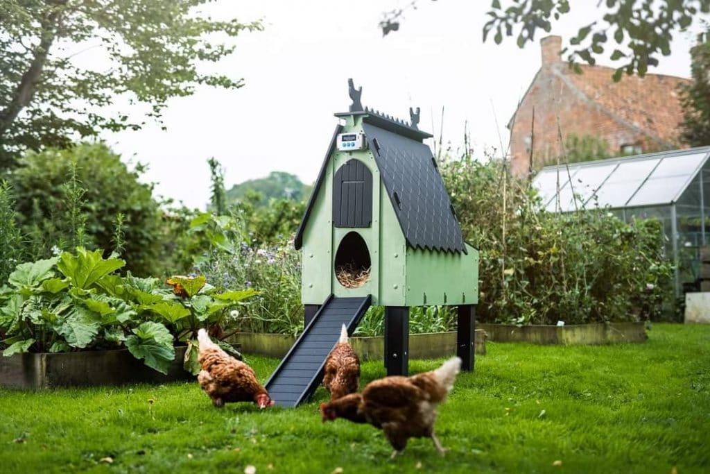 Henlays coop painted in green