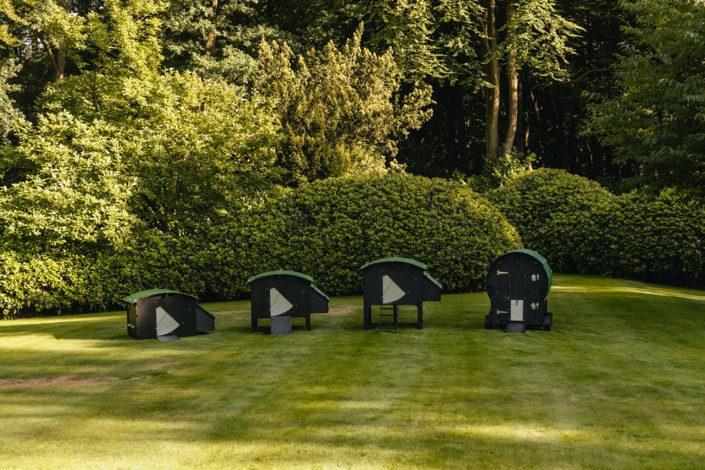Nestera chicken coop lineup on grass