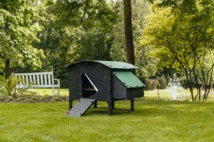 Large lodge coop