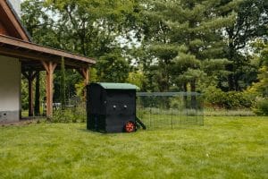 Large raised coop with run