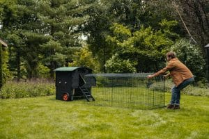 Large raised coop with 2m run front view