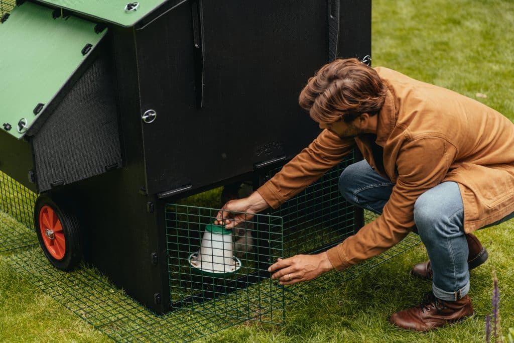 Feeders placed in a dry area under the coop