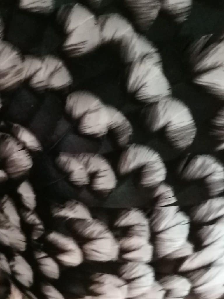 Close-up of Swedish Flower feather pattern